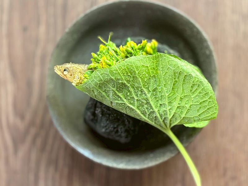 vase
